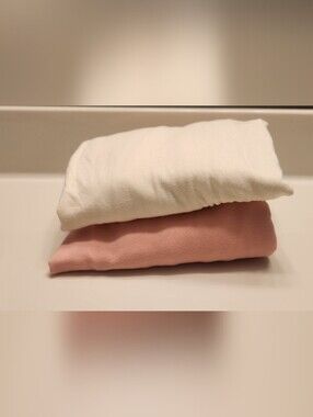 Bundle Of 2 Knee Length Skirts Size L Gap White And Isaac Mizrahi Blush